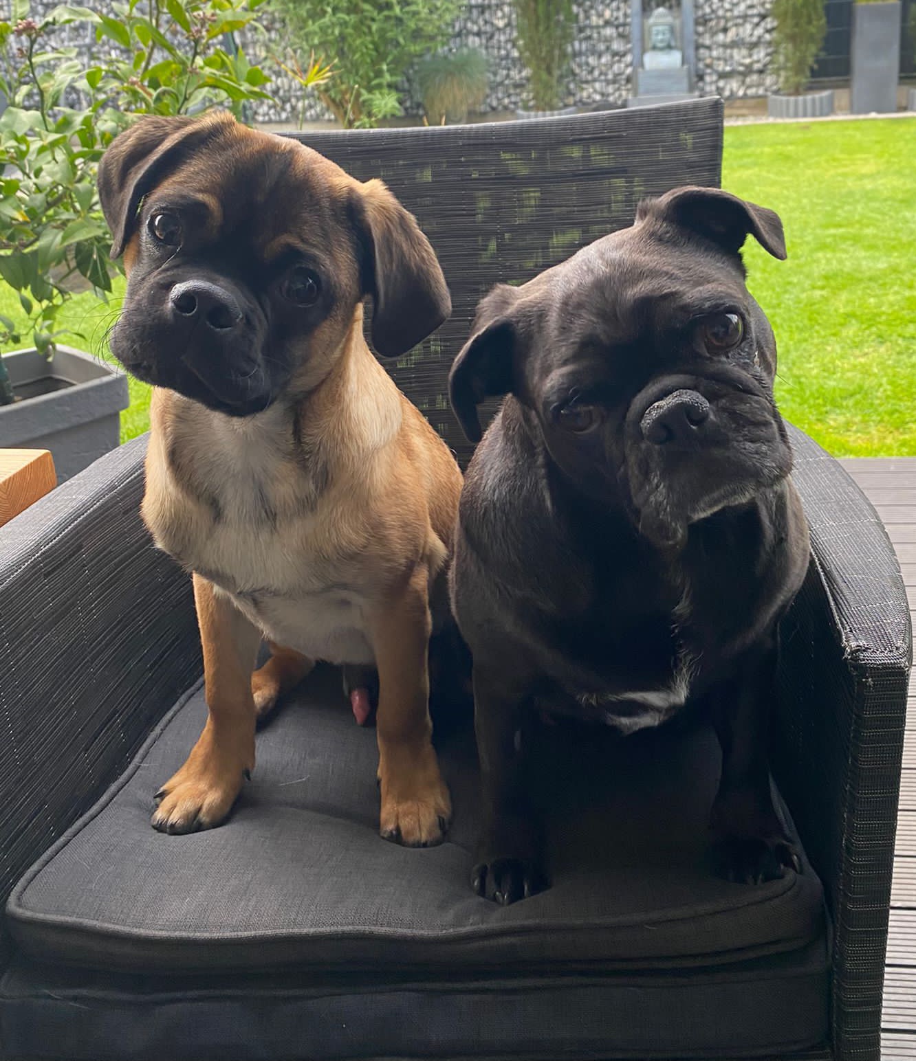 Stan und Oskar